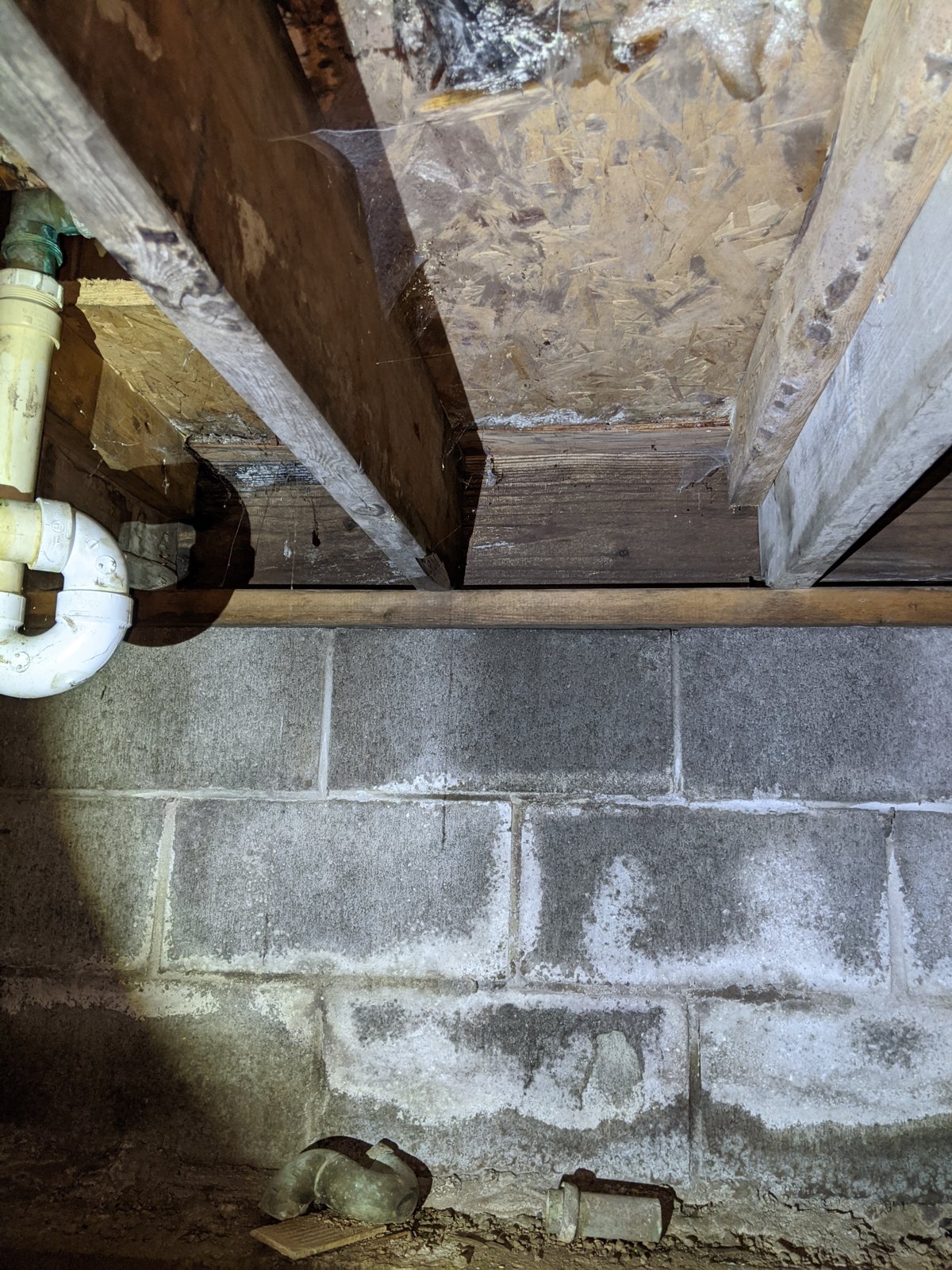 Crawlspace wall: white mineral deposits