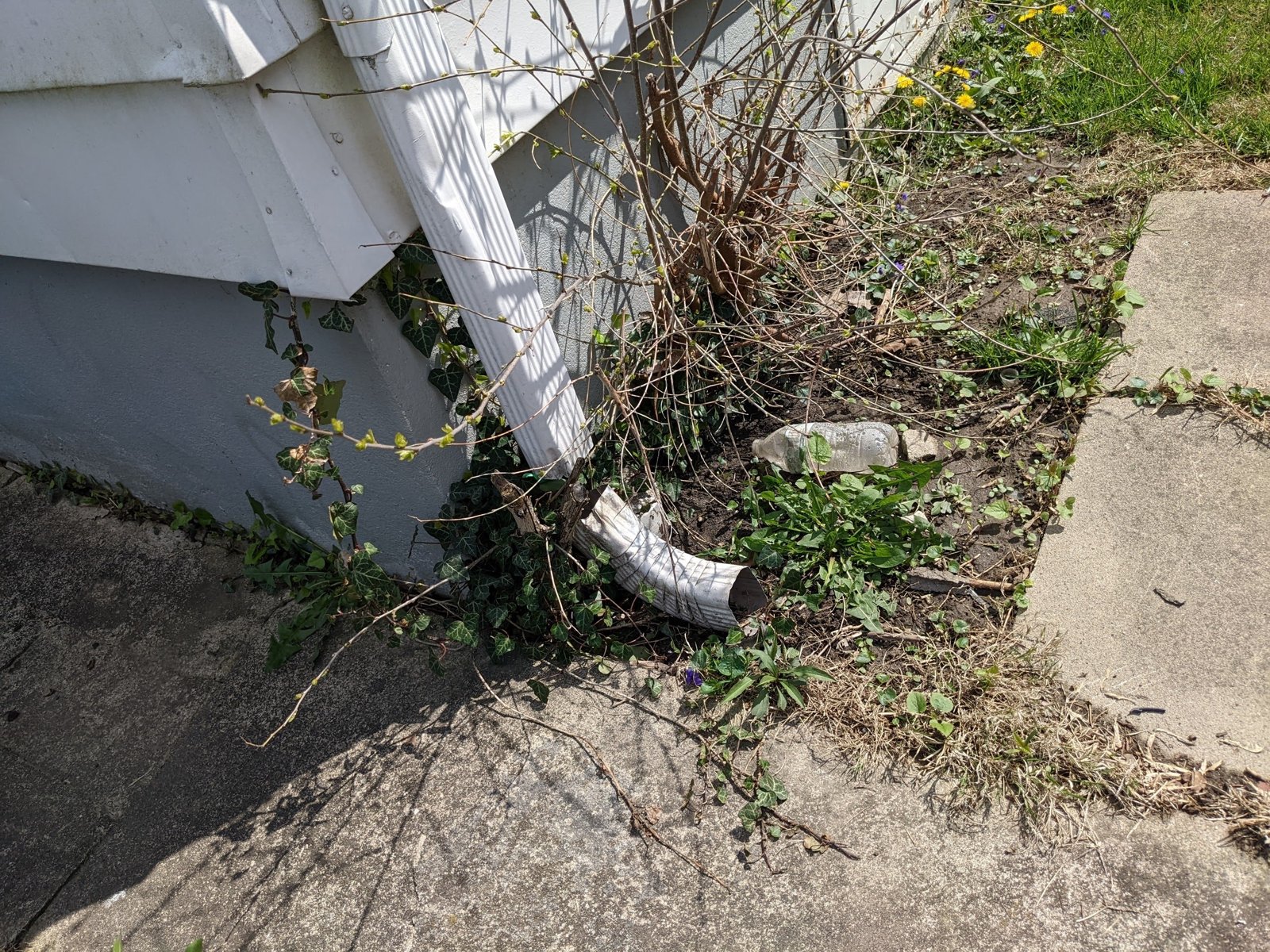 Downspout extension: off and lying in the bed