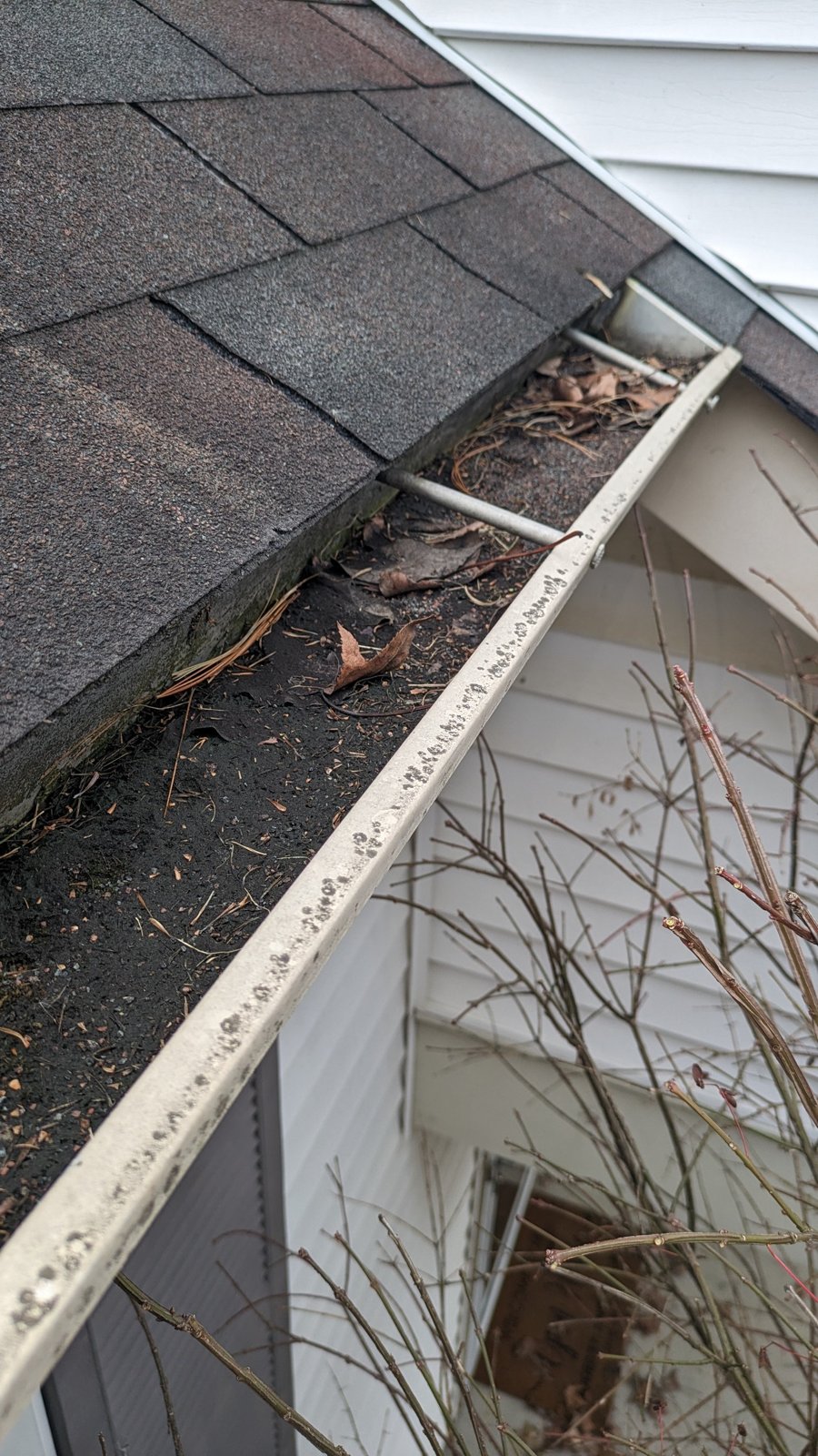 Gutter full of leaves and roof grit