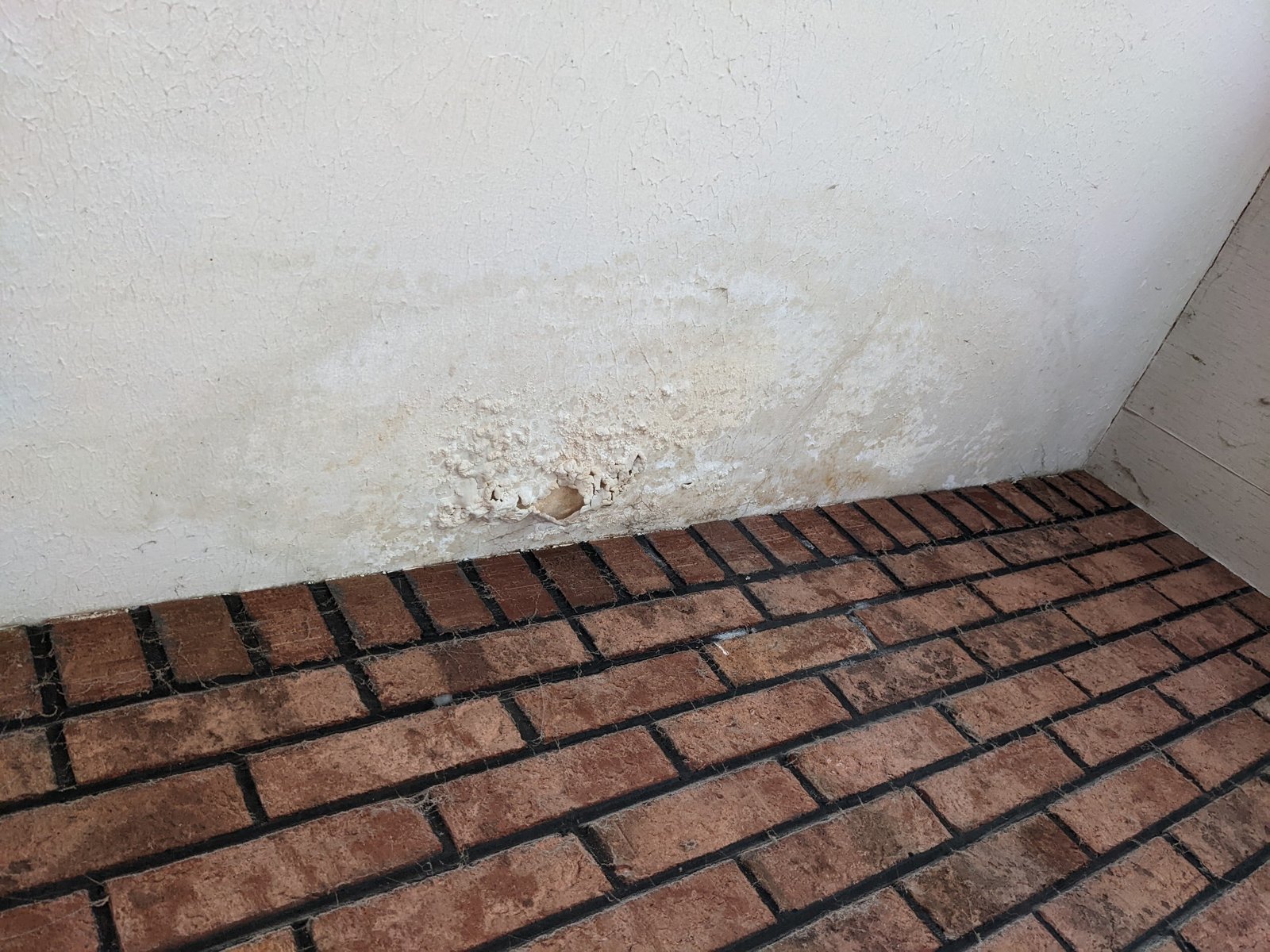 Basement wall: white deposits and bubbling paint