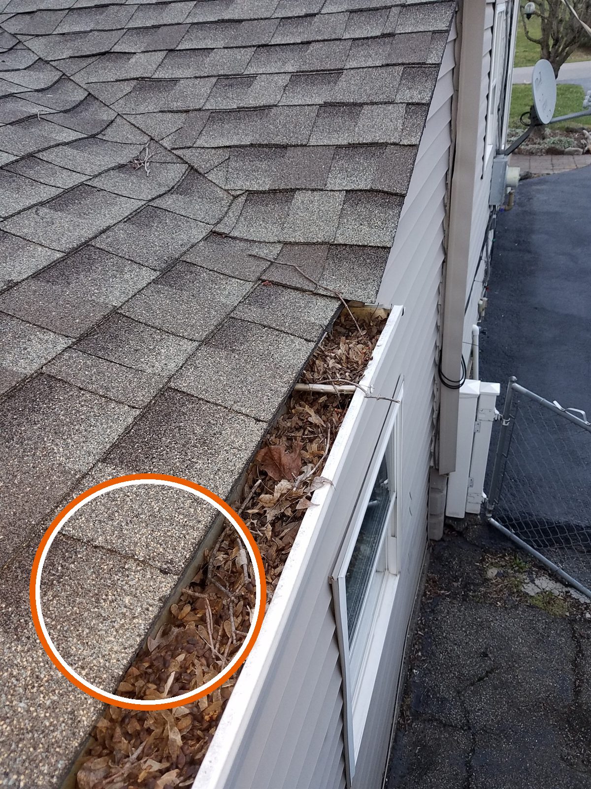 Gutters packed with leaves