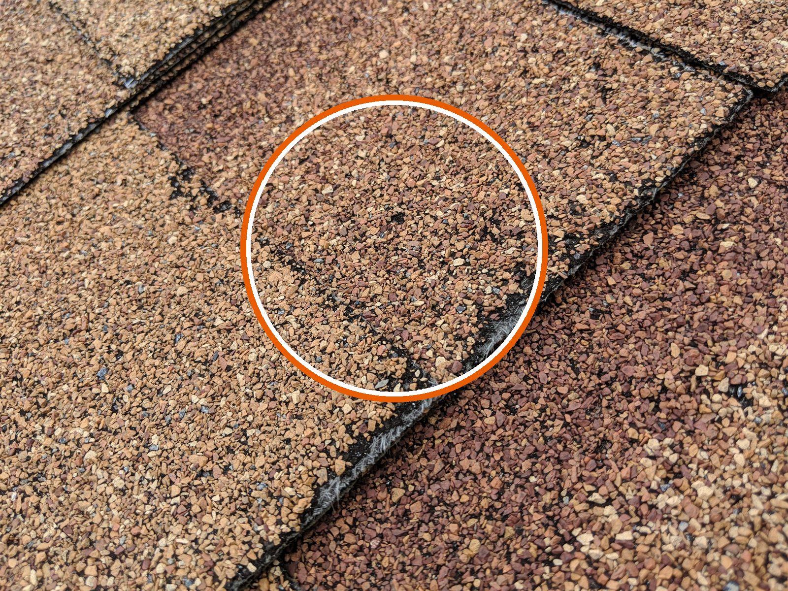 Roof shingles worn: heavy granule loss